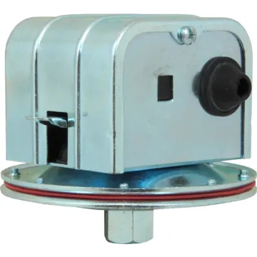 BE 1-1/2 in For BE Pressure Washer Pumps Vacuum Switch