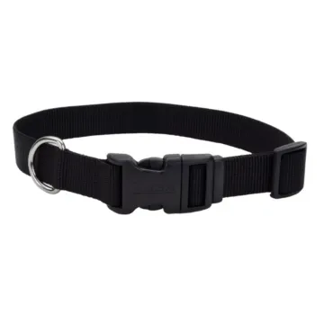 Adjustable Dog Collar with Plastic Buckle