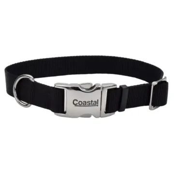 Adjustable Dog Collar with Metal Buckle