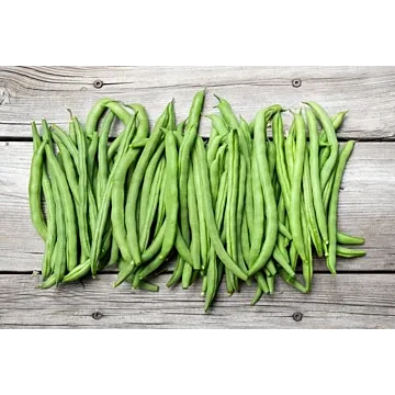 Blue Lake 274 Green Bean Seeds