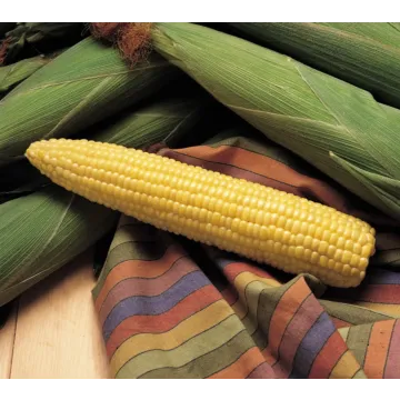 Honey Select Sweet Corn Seeds