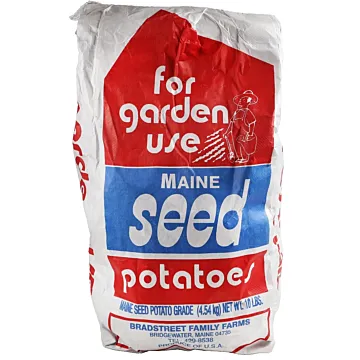 Kennebec Seed Potatoes 