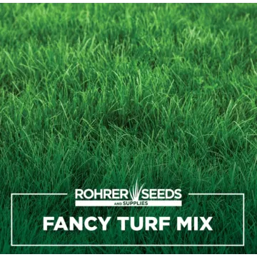 Fancy Turf Mix Grass Seed