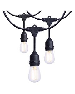 LED 12-Bulb String Light - 24 ft