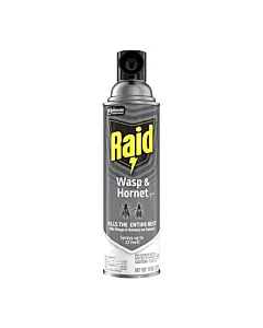 RAID Wasp & Hornet Killer - 17.5 oz
