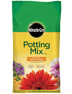 Miracle-Gro All Purpose Potting Mix